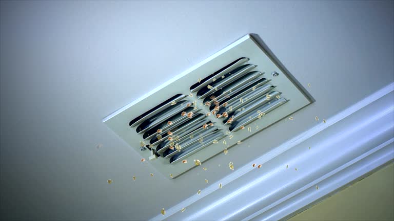 Professional Airduct Cleaning in Carthage, TX