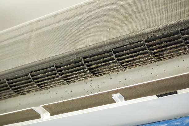 Best Commercial Air Duct Cleaning  in Carthage, TX